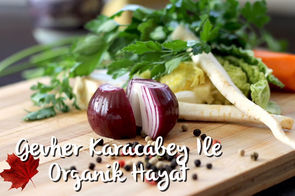 Organik Hayat
