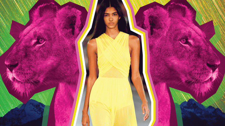 Aslan Burcunda Dolunay