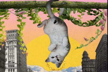 İkizler Burcunda Halkalı Güneş Tutulması